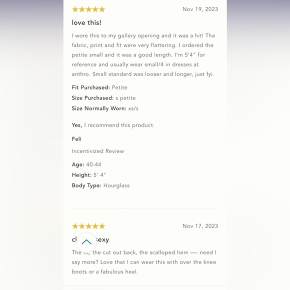 Anthropologie NWT MAEVE MOCK-NECK SHIFT MINI DRESS size 16P. - Picture 11 of 16